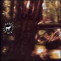 Donkey - Big Sur