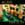 Click to Expand or Contract Details