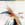 Click to Expand or Contract Details
