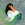 Click to Expand or Contract Details