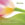 Click to Expand or Contract Details