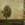 Click to Expand or Contract Details