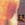 Click to Expand or Contract Details