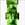 Click to Expand or Contract Details
