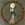 Click to Expand or Contract Details