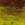 Click to Expand or Contract Details