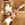 Click to Expand or Contract Details